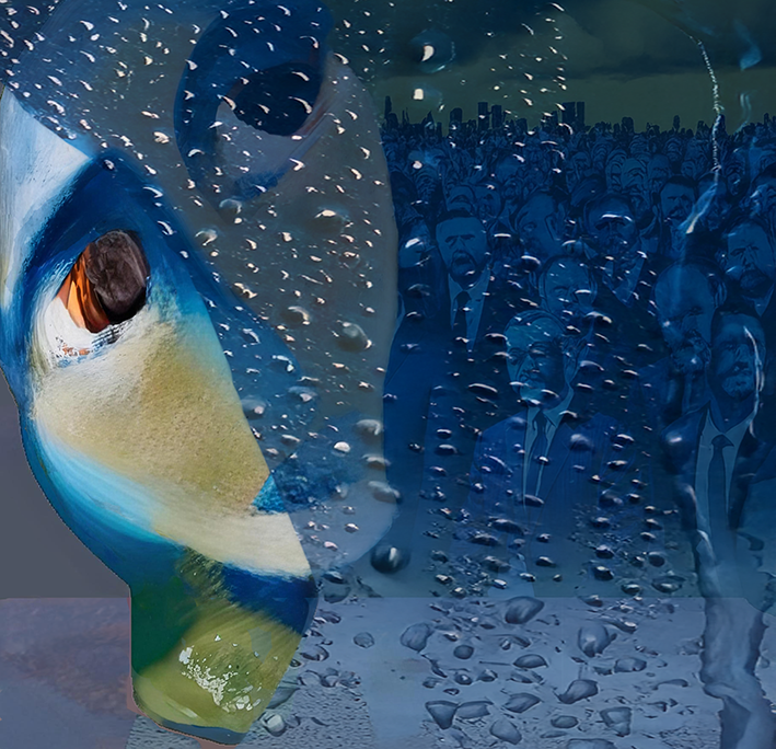 Contemporary World 14