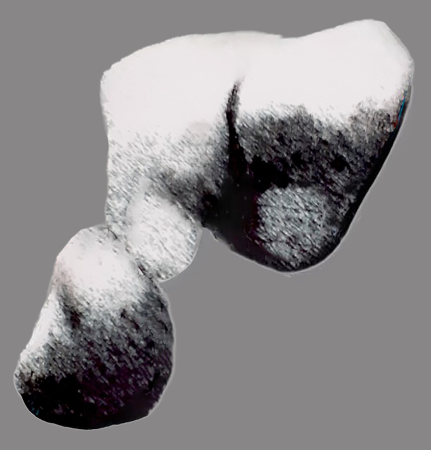 Contemporary World 22