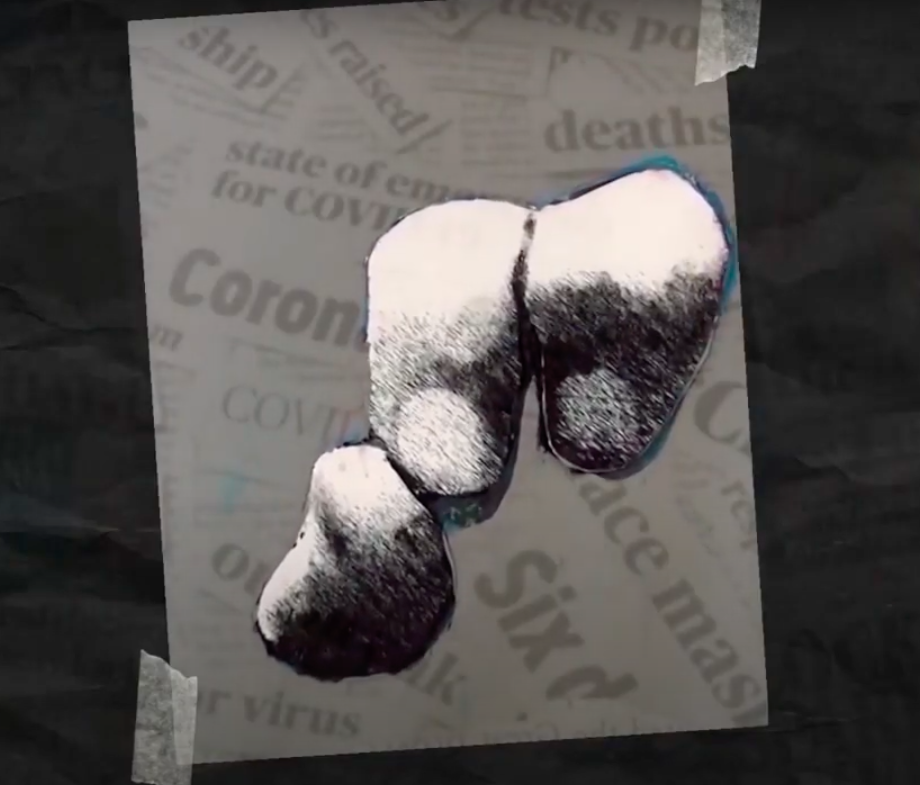 Contemporary World 23